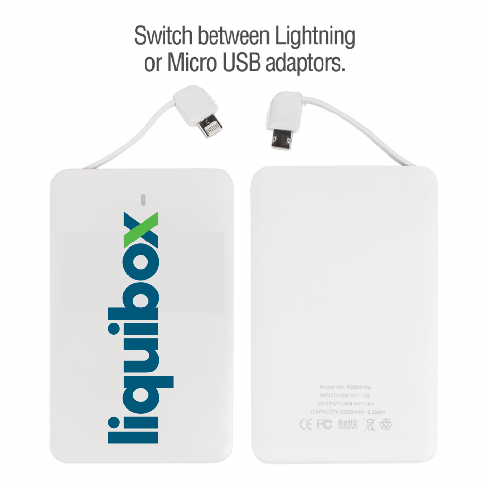 P2500 3-in-1 Flip Battery Bank